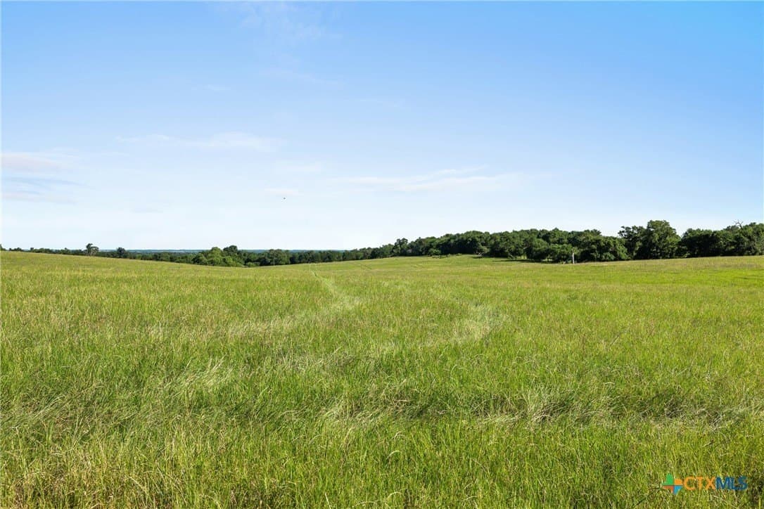 165.71 acres in Milam County - photo 17