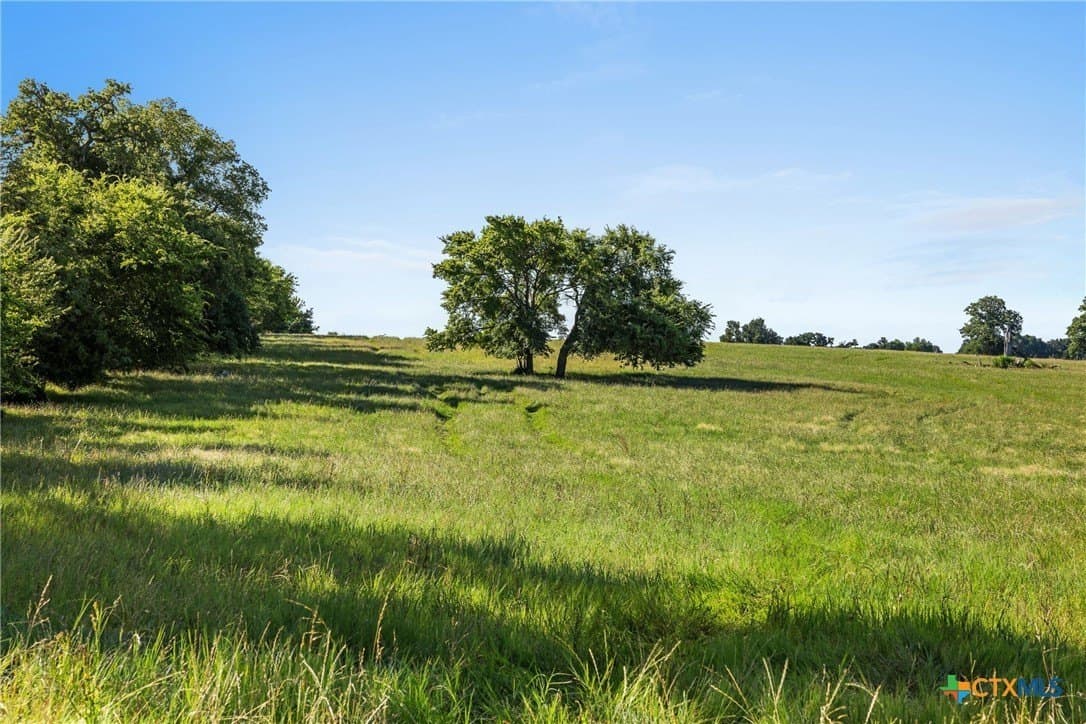 165.71 acres in Milam County - photo 12