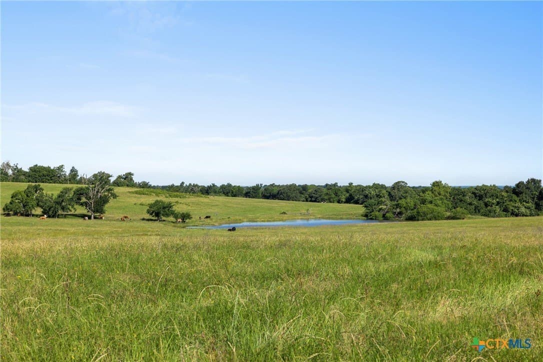 165.71 acres in Milam County - photo 15