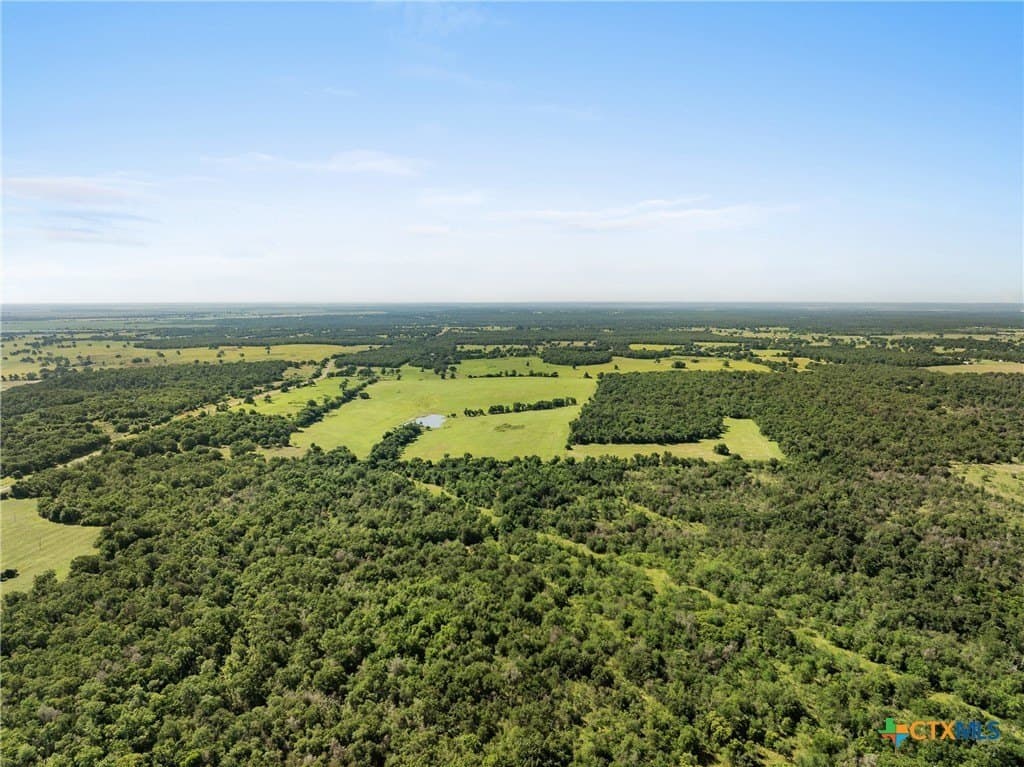 165.71 acres in Milam County - photo 5