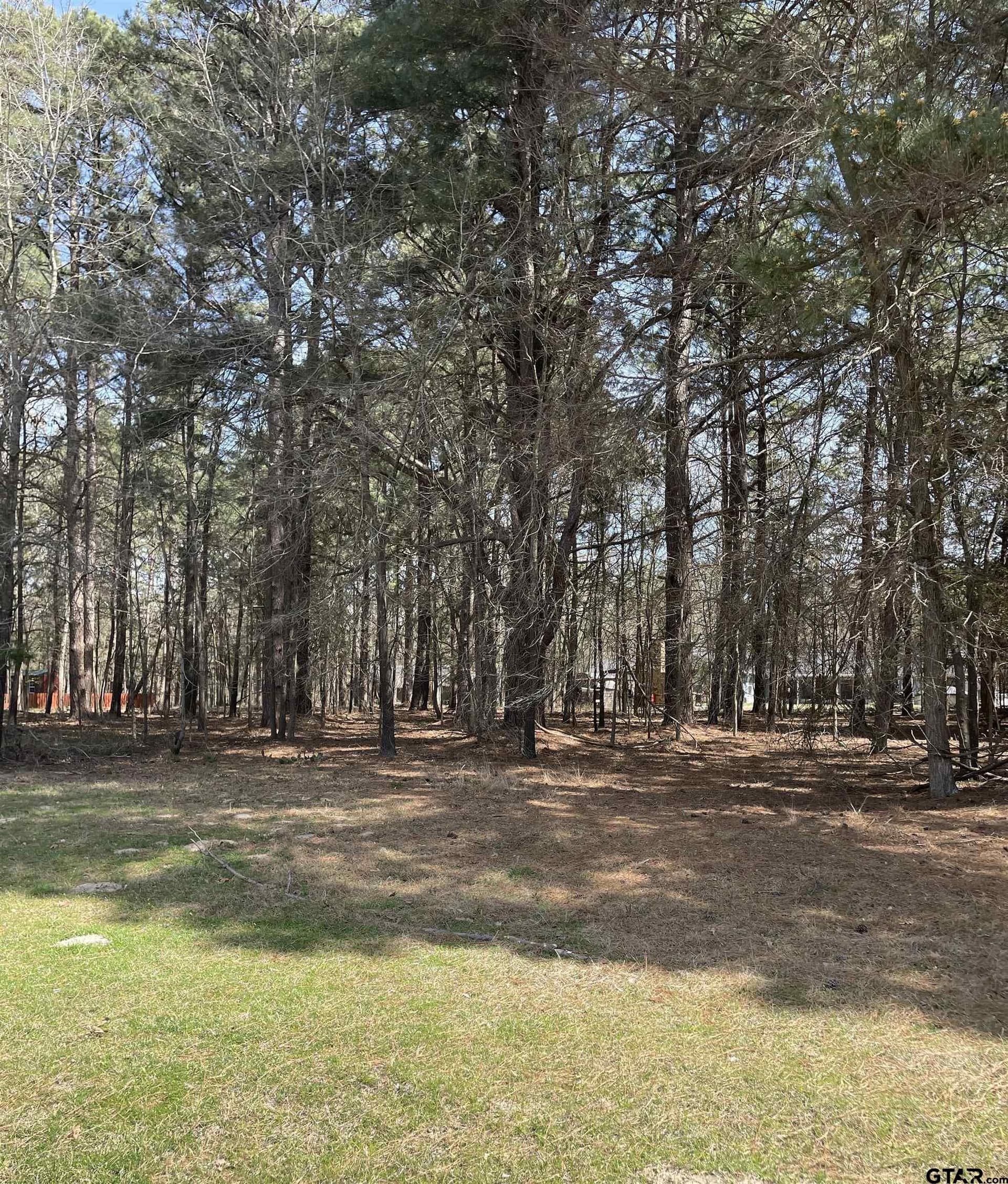1.38 acres in Camp County - photo 3