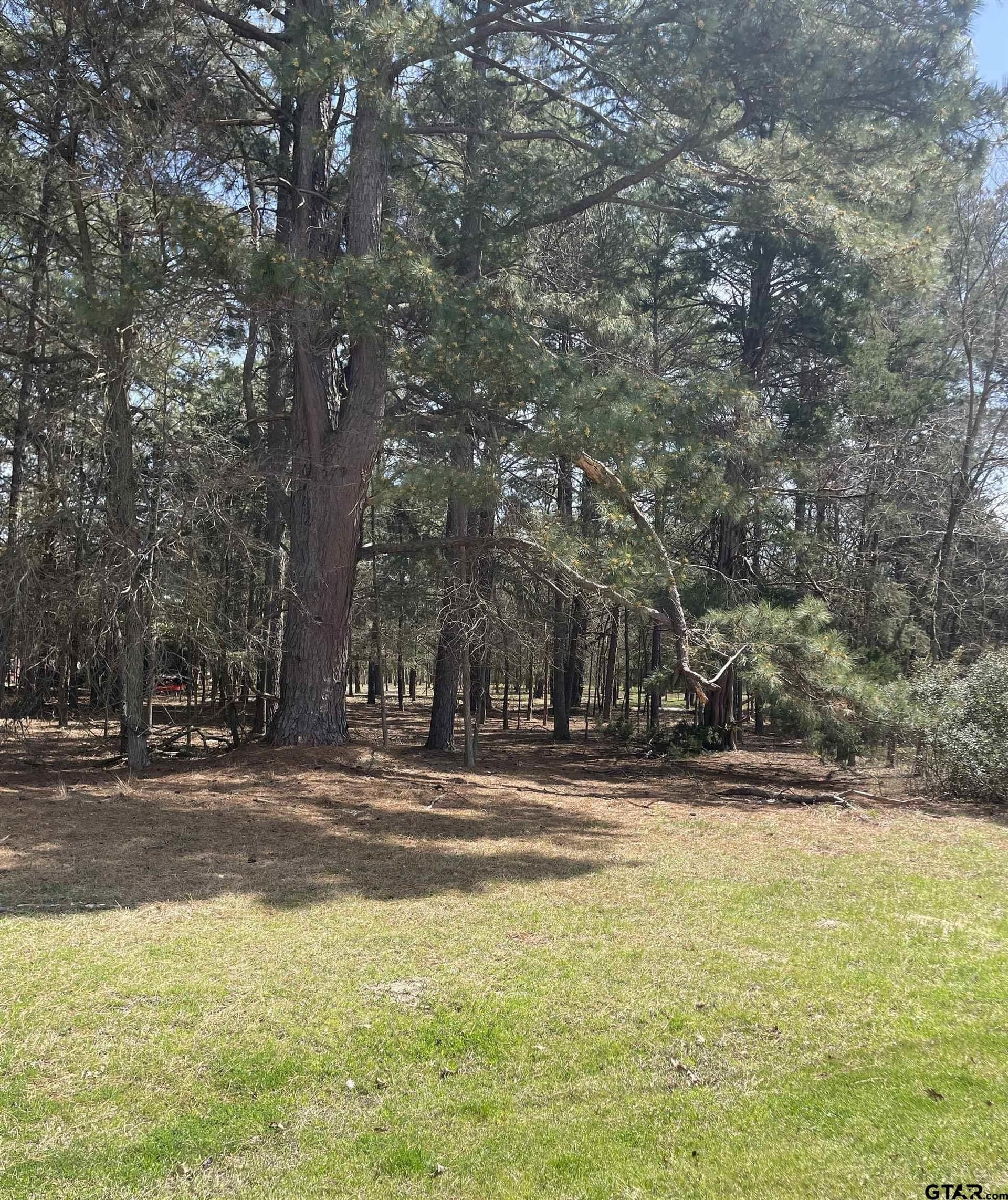 1.38 acres in Camp County - photo 2