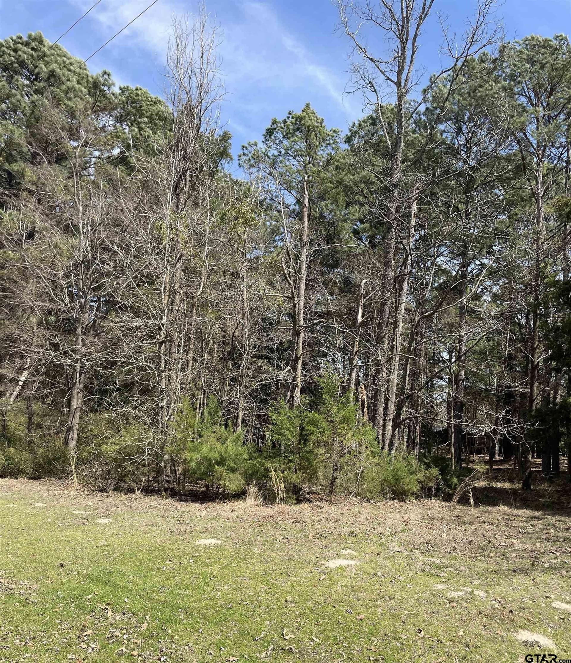 1.38 acres in Camp County - photo 4