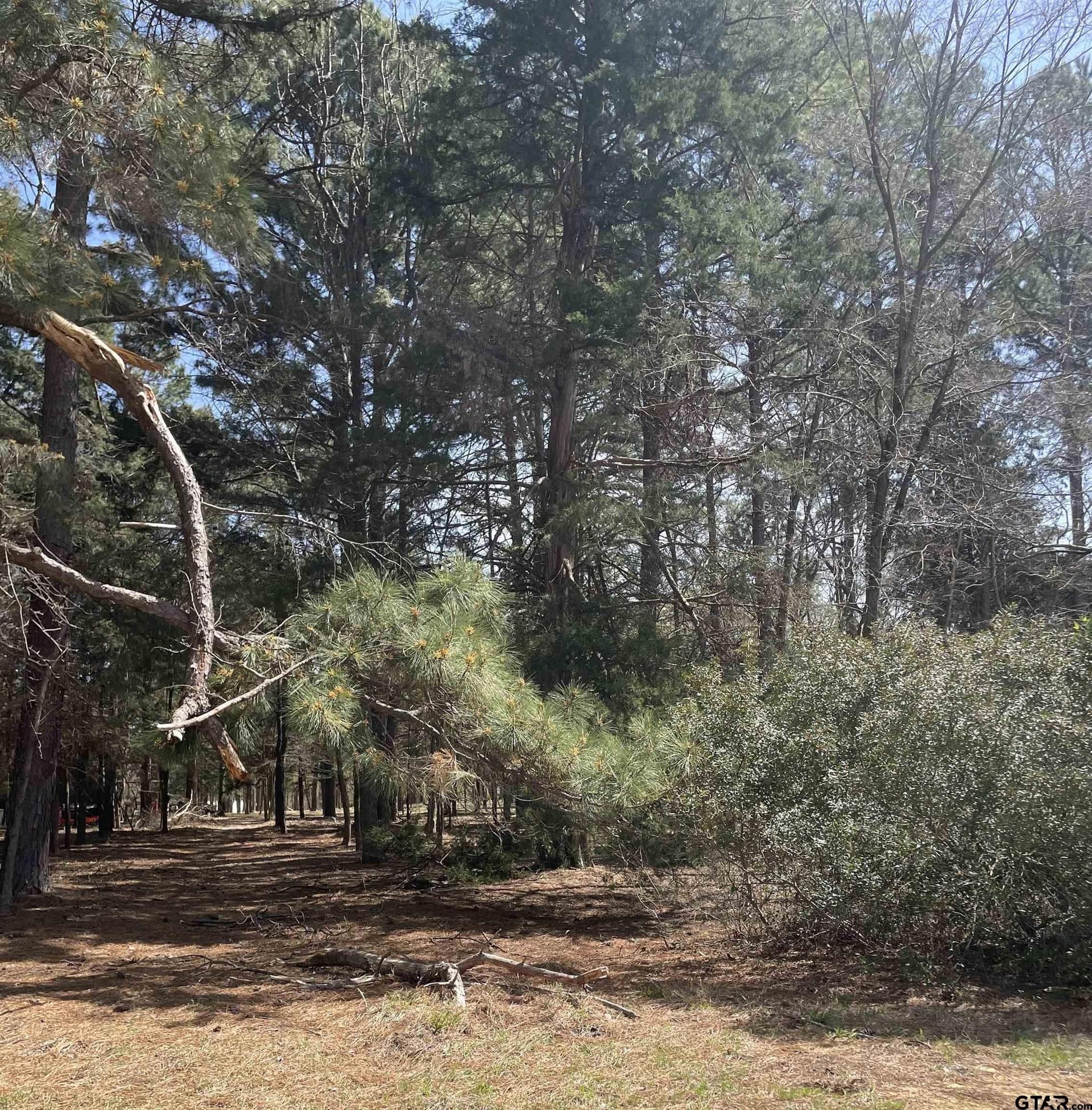 1.38 acres in Camp County - photo 5