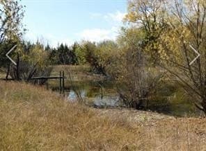 18.99 acres in Collin County - photo 11