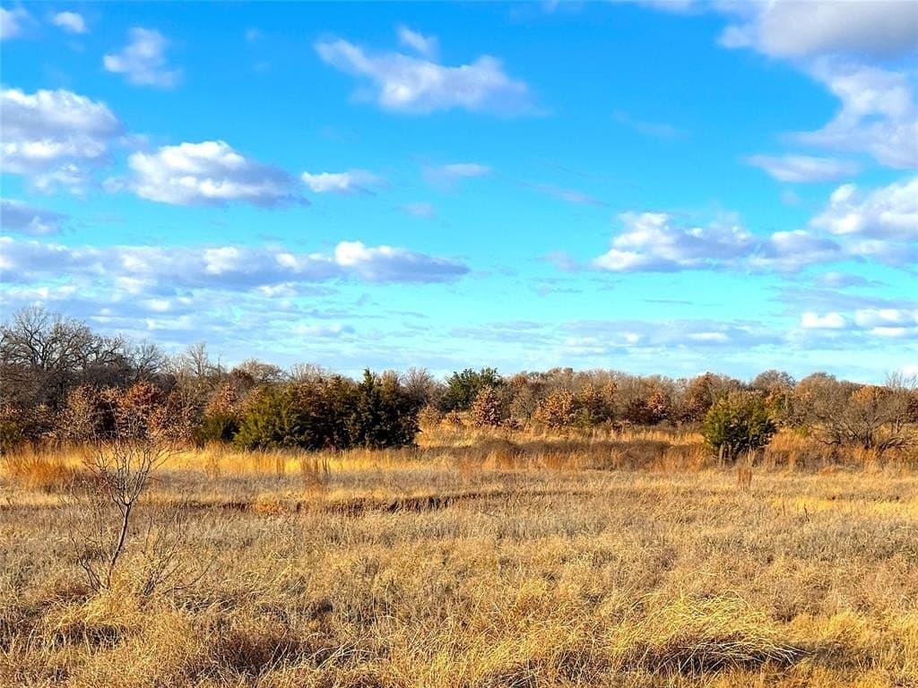 55 acres in Parker County - photo 23