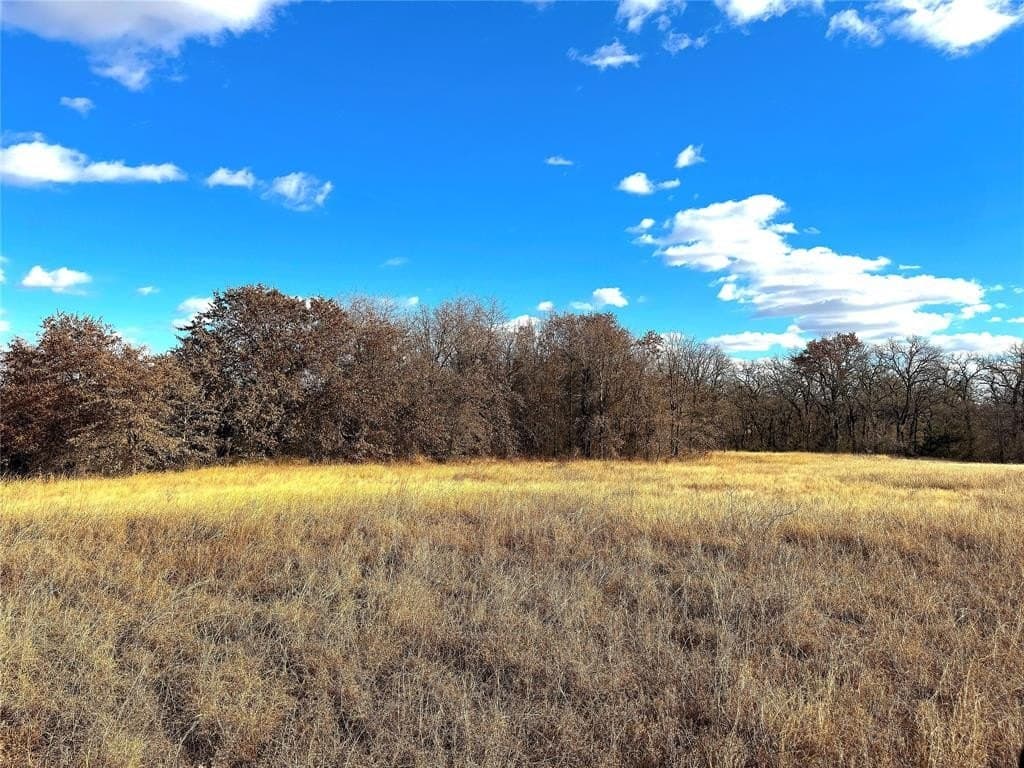 55 acres in Parker County - photo 2