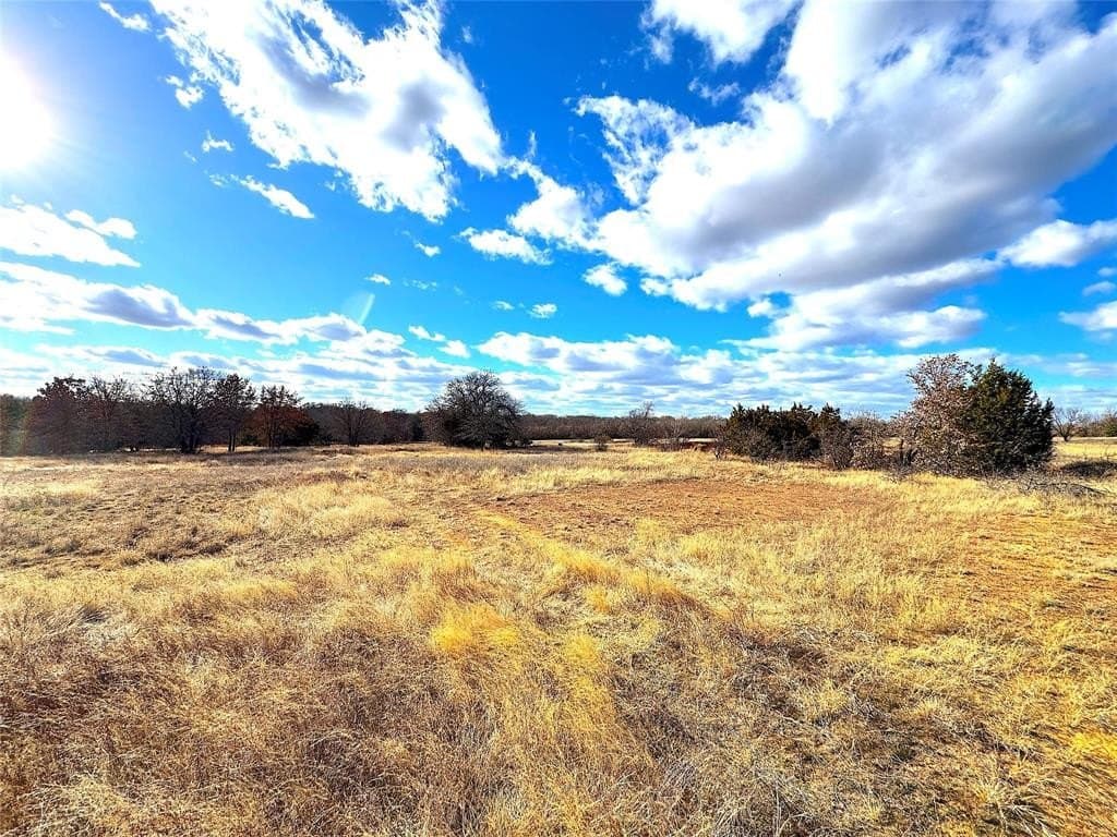 55 acres in Parker County - photo 16