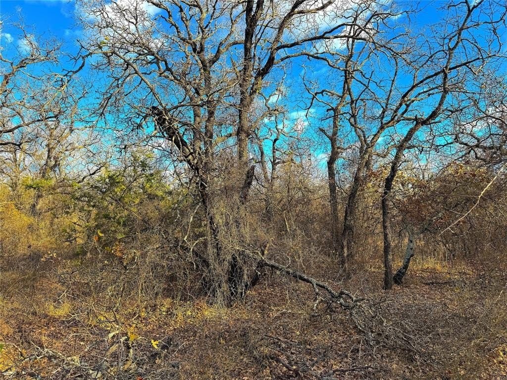 55 acres in Parker County - photo 37