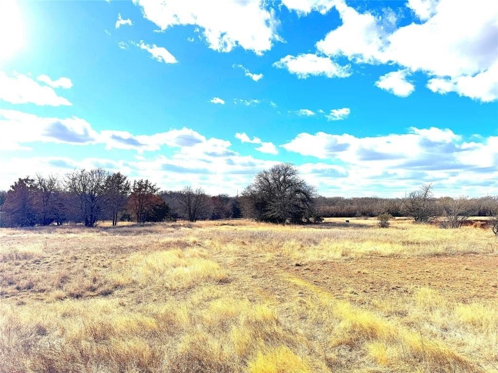 55 acres in Parker County - photo 14