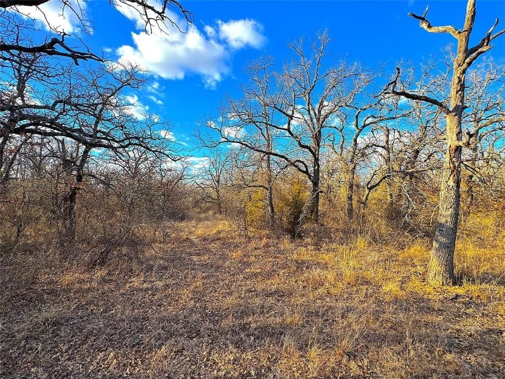 55 acres in Parker County - photo 30