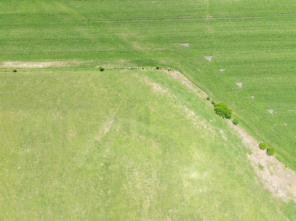 78 acres in Falls County - photo 11
