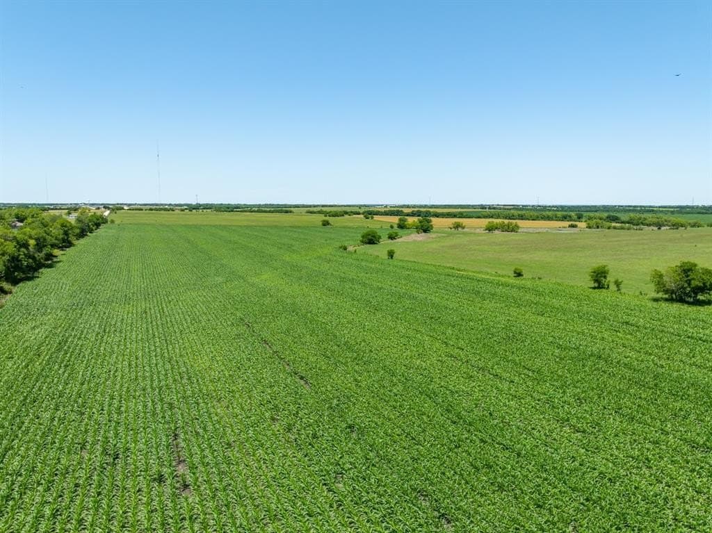 78 acres in Falls County - photo 19