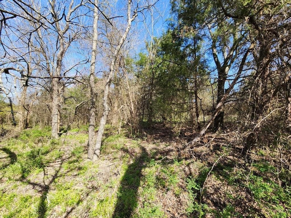 1.85 acres in Hunt County - photo 39