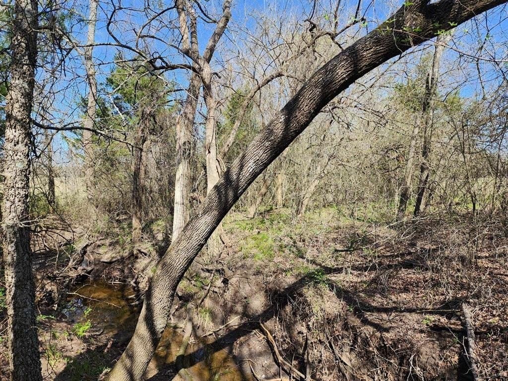 1.85 acres in Hunt County - photo 34
