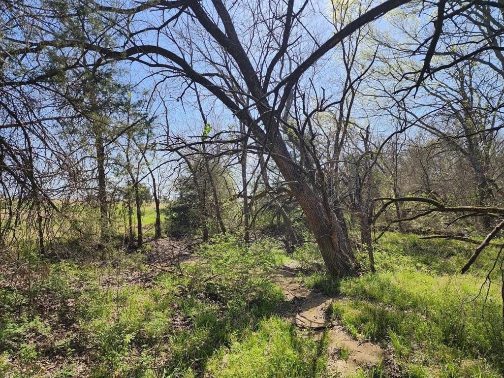 1.85 acres in Hunt County - photo 37