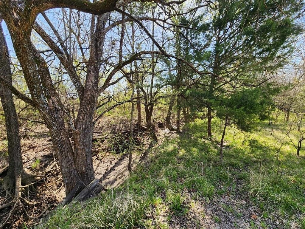1.85 acres in Hunt County - photo 36
