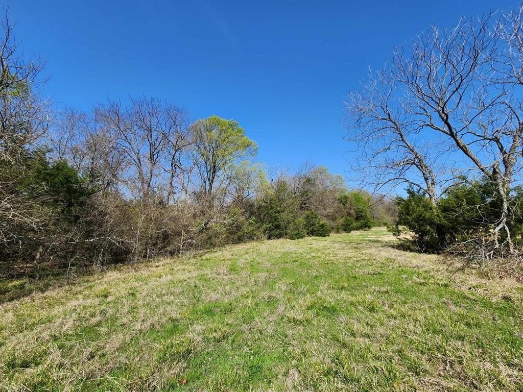 1.85 acres in Hunt County - photo 30