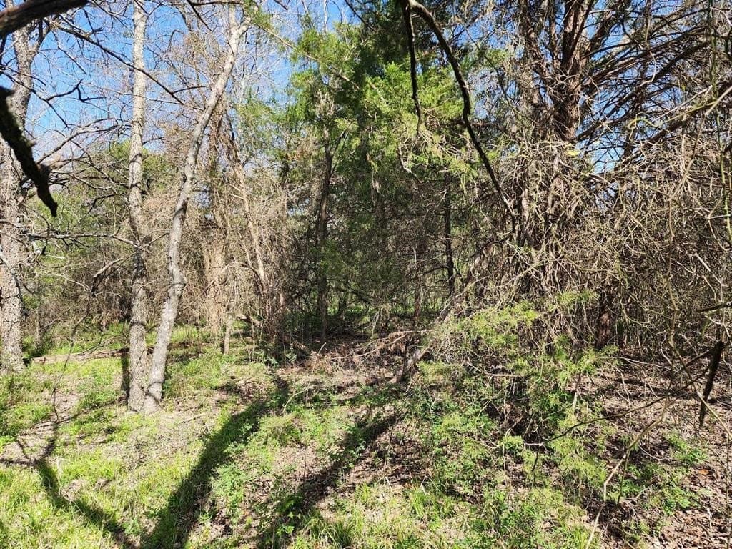 1.85 acres in Hunt County - photo 38