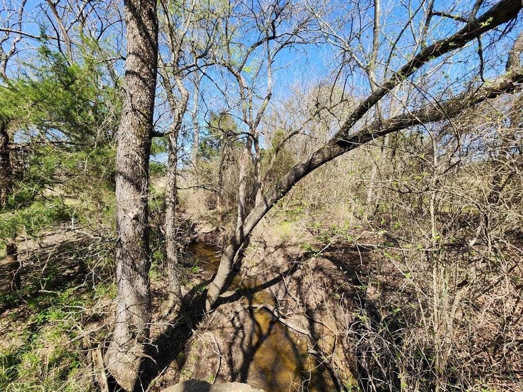 1.85 acres in Hunt County - photo 35