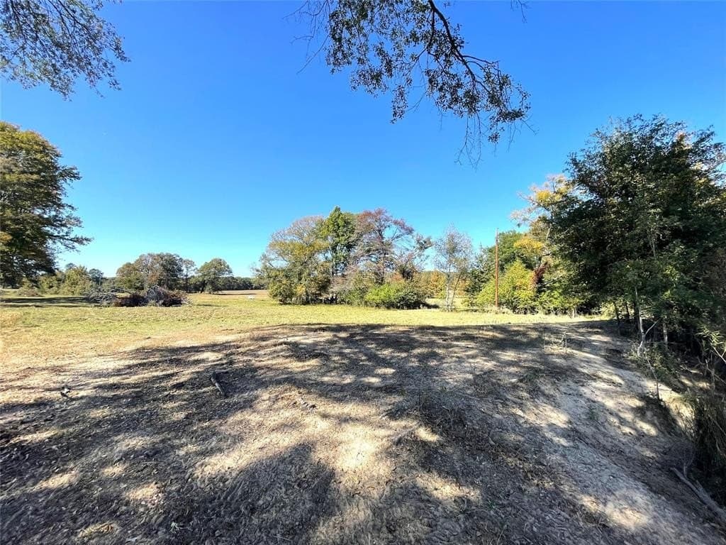 10 acres in Bowie County - photo 4