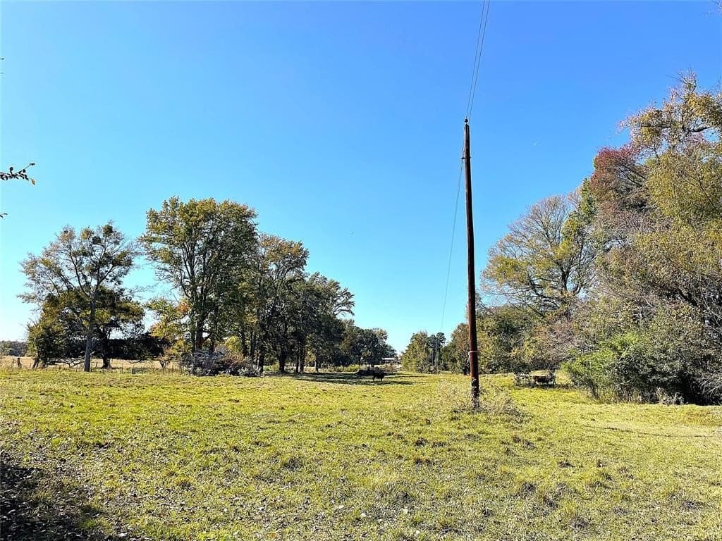 10 acres in Bowie County - photo 5