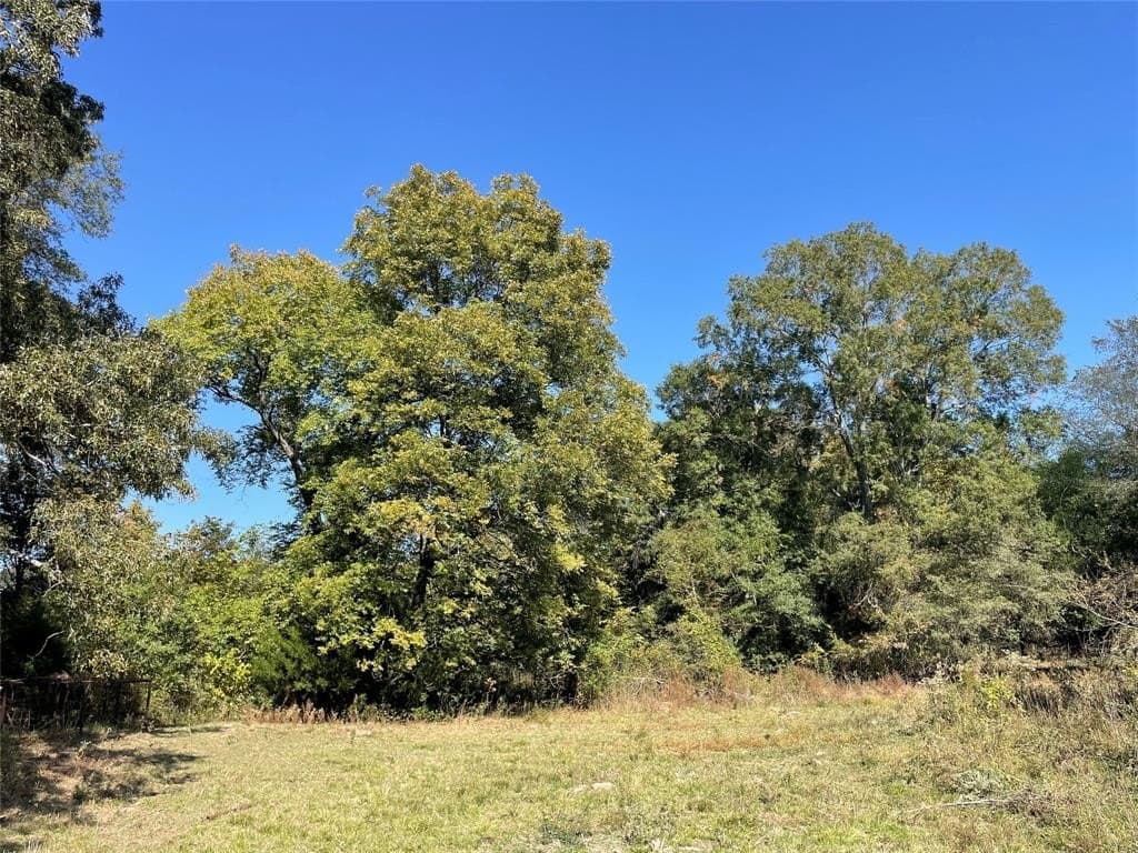 10 acres in Bowie County - photo 6