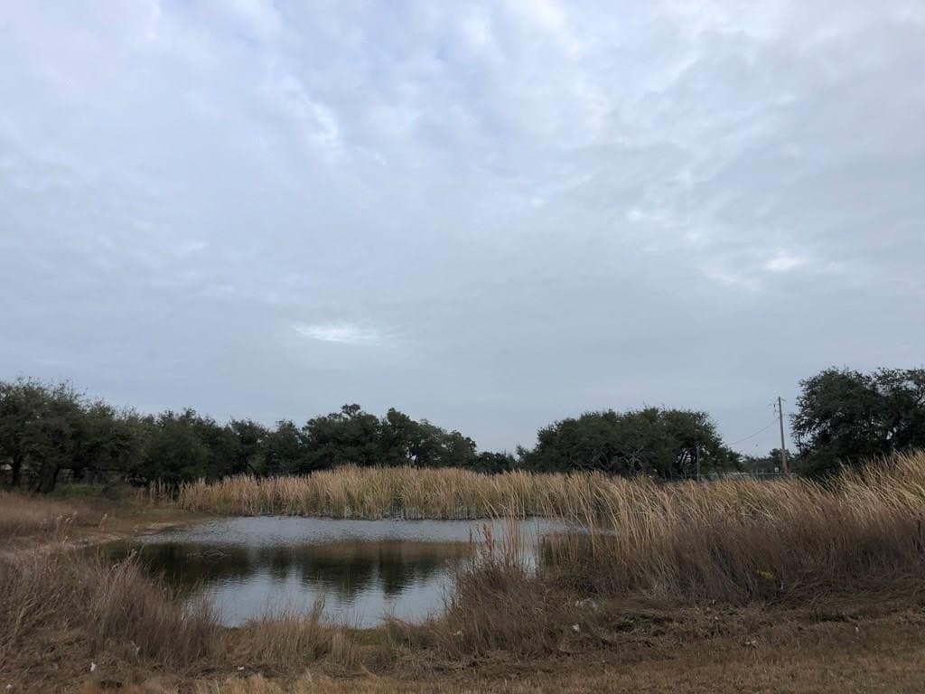 0 acres in Texas County - photo 5