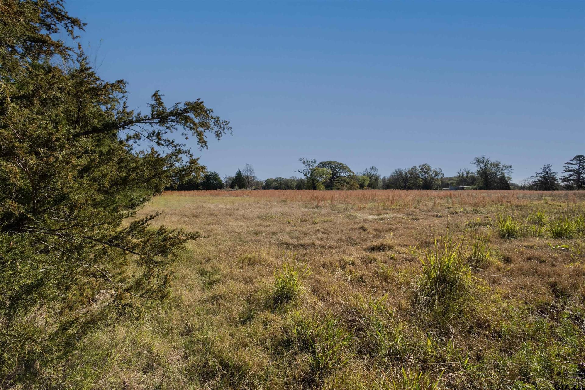 22 acres in Wood County - photo 36