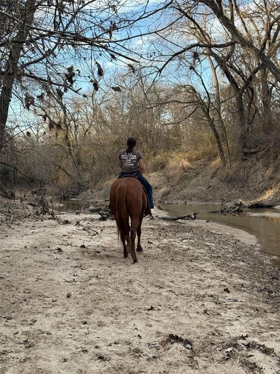 28.91 acres in Denton County - photo 40