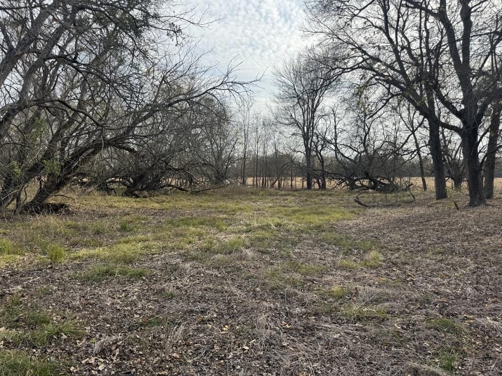 10.01 acres in Lamar County - photo 4