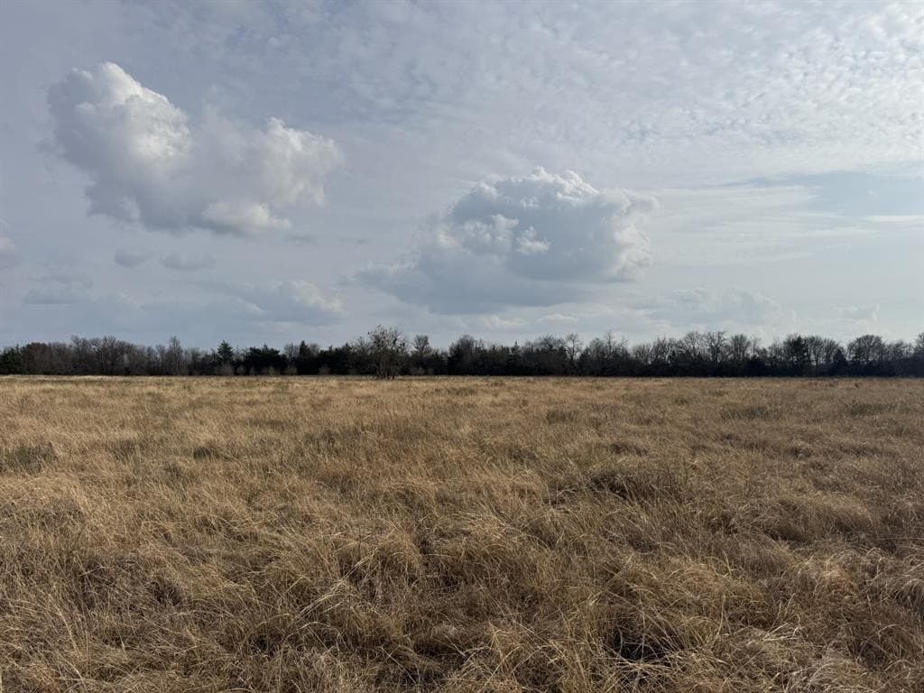 10.01 acres in Lamar County - photo 2
