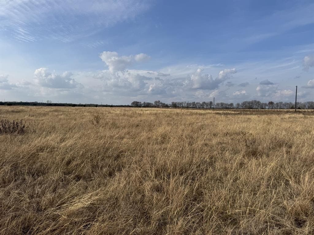 10.01 acres in Lamar County - photo 3