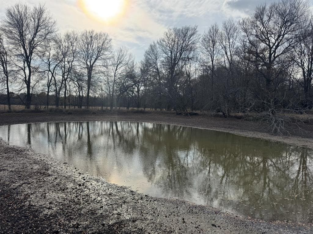 10.01 acres in Lamar County - photo 5