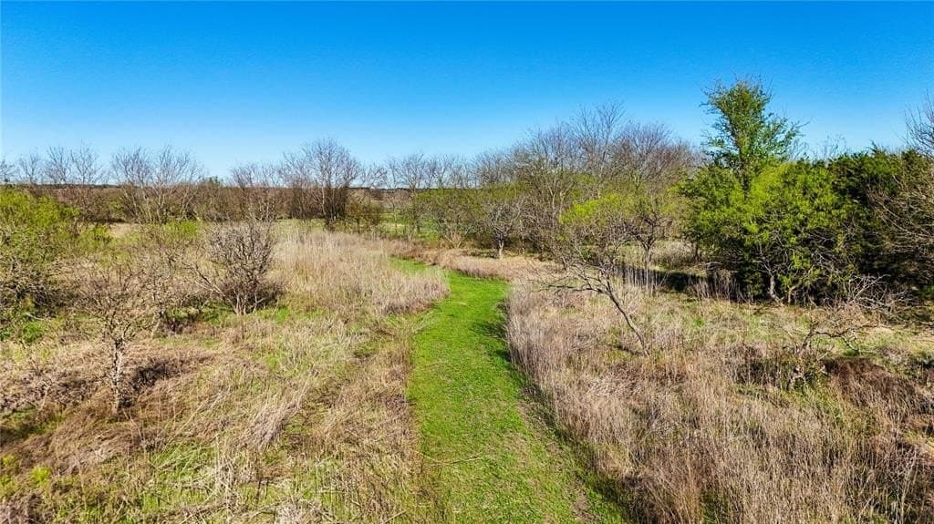 35.56 acres in Bell County - photo 19
