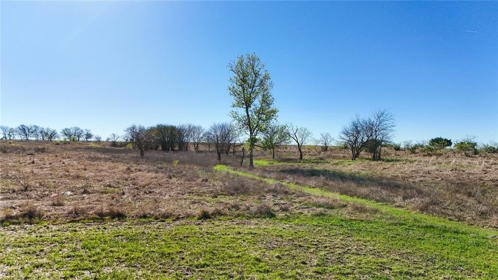 35.56 acres in Bell County - photo 16