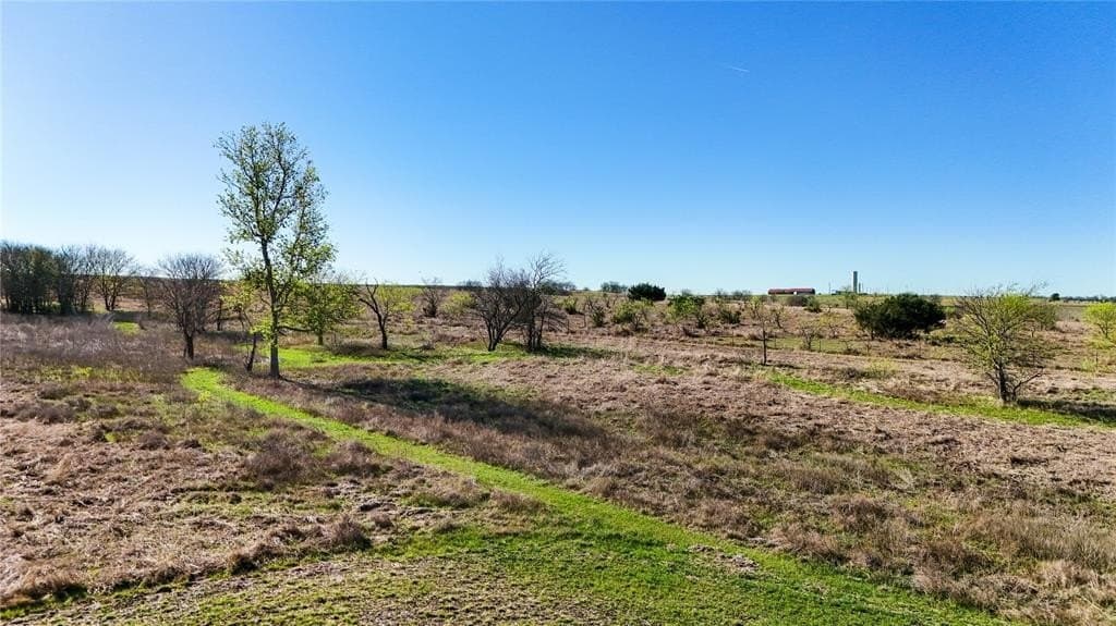 35.56 acres in Bell County - photo 17