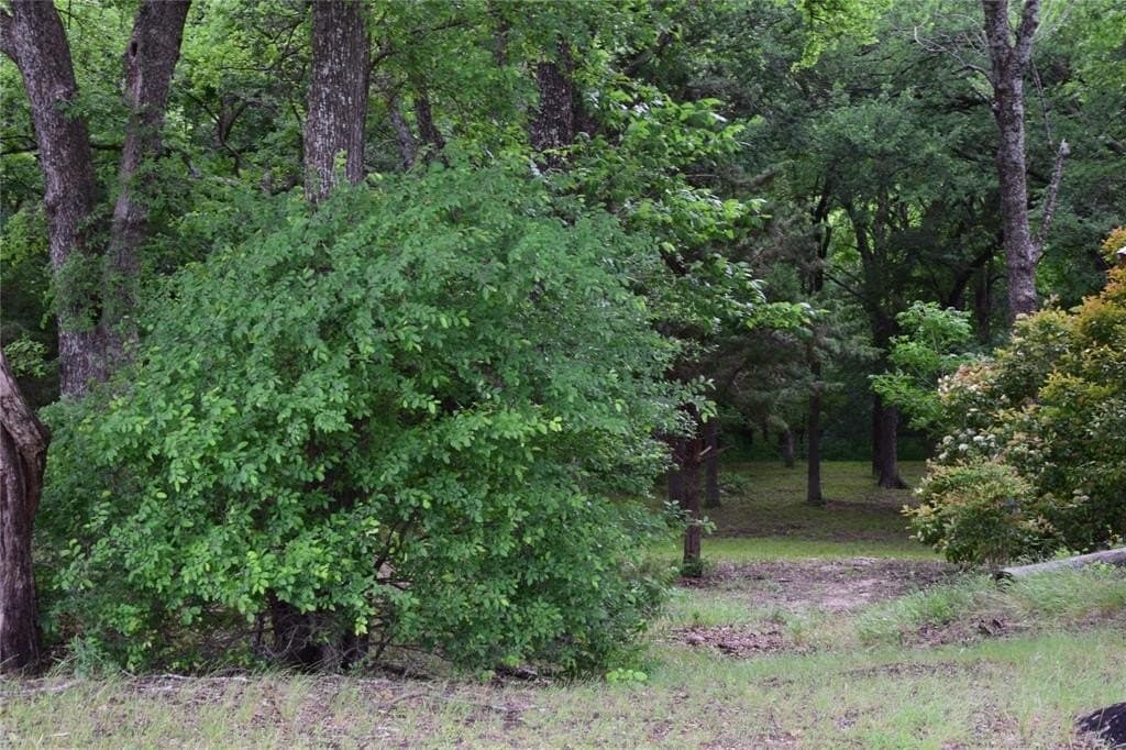 2.01 acres in Collin County - photo 6