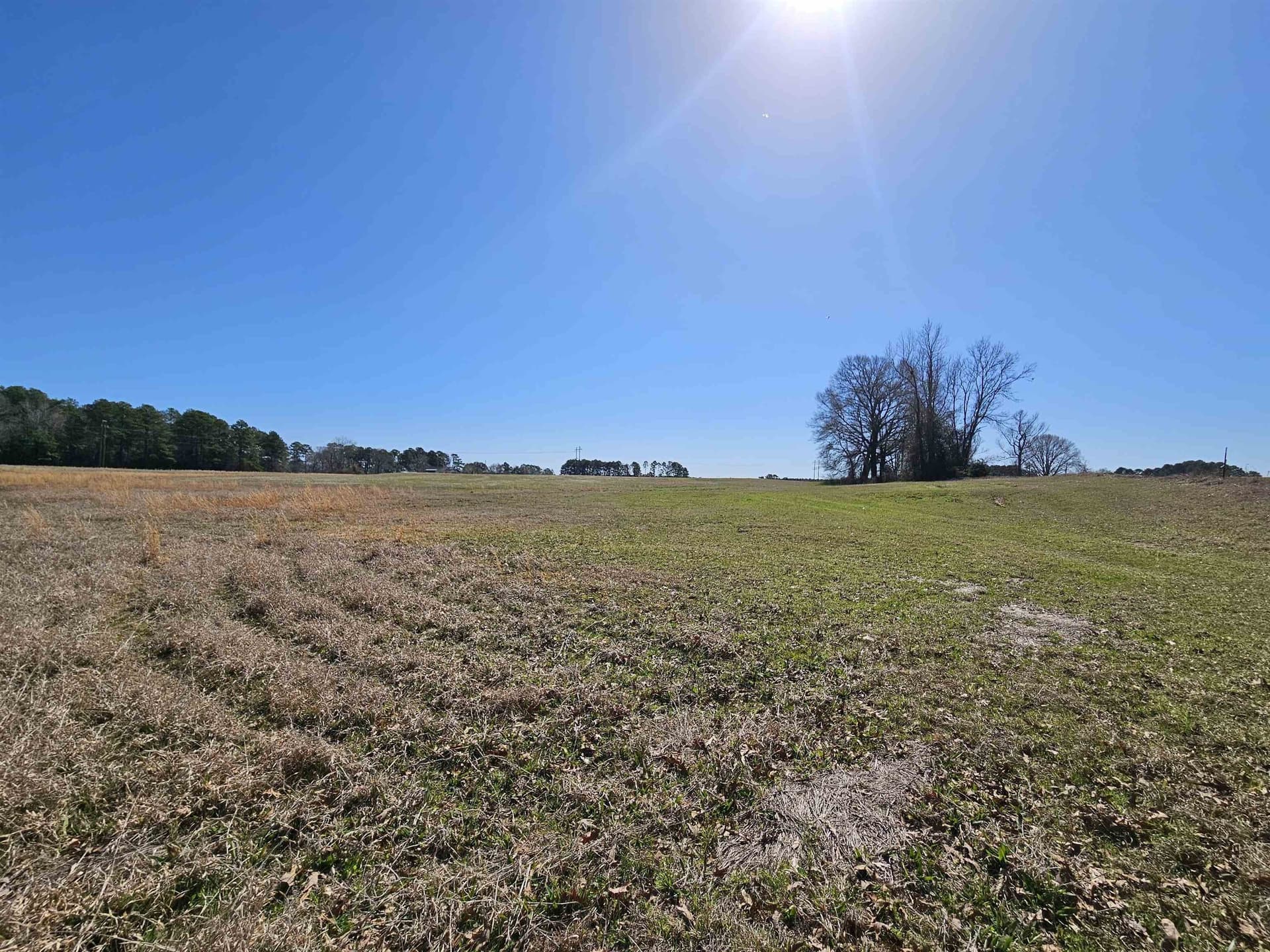18.66 acres in Panola County - photo 5