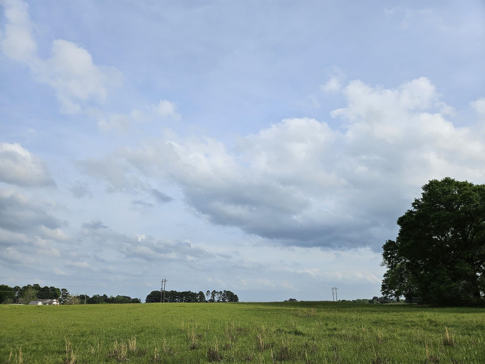 18.66 acres in Panola County - photo 13