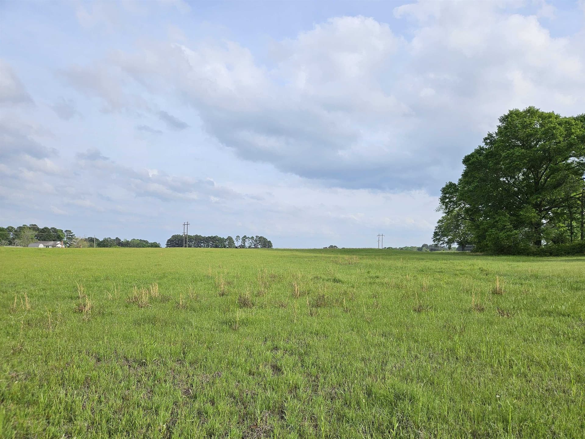 18.66 acres in Panola County - photo 14