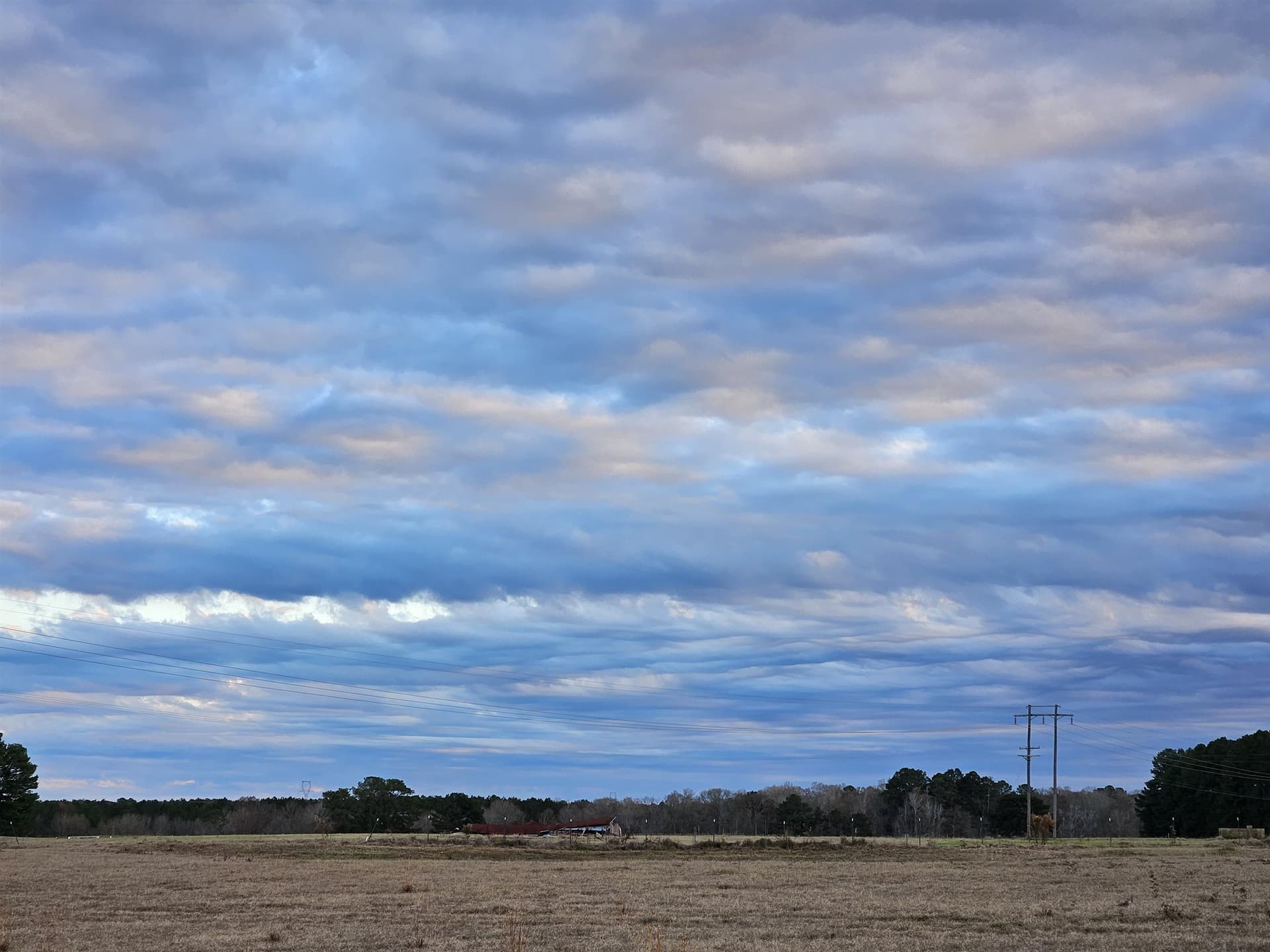 18.66 acres in Panola County - photo 4