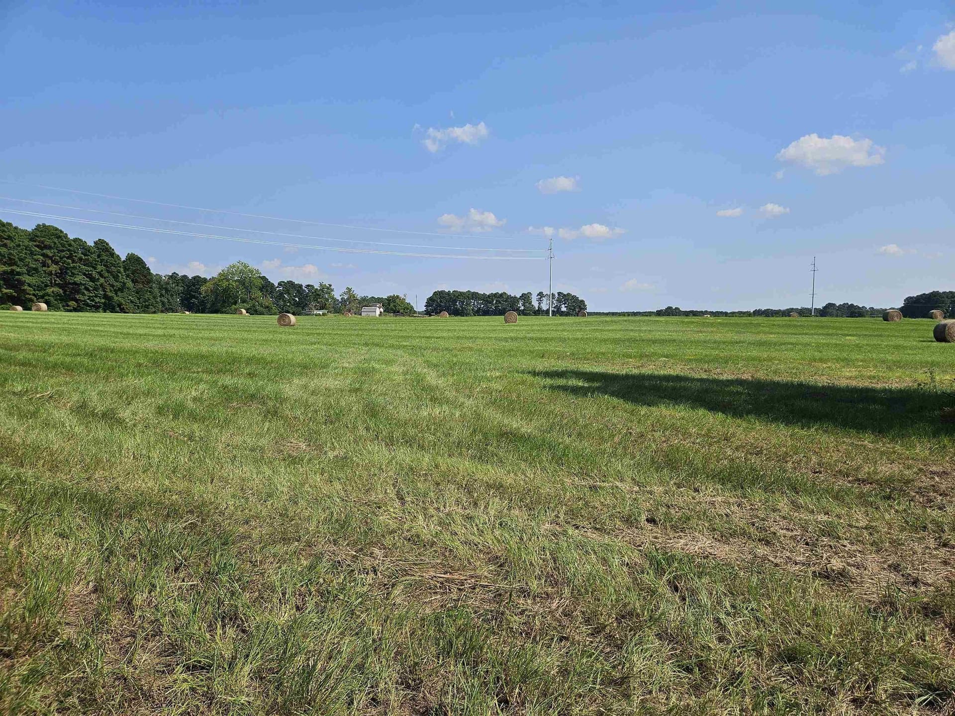 18.66 acres in Panola County - photo 9