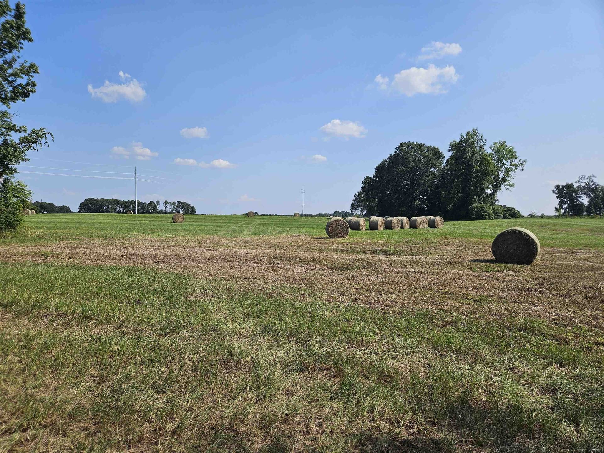 18.66 acres in Panola County - photo 8
