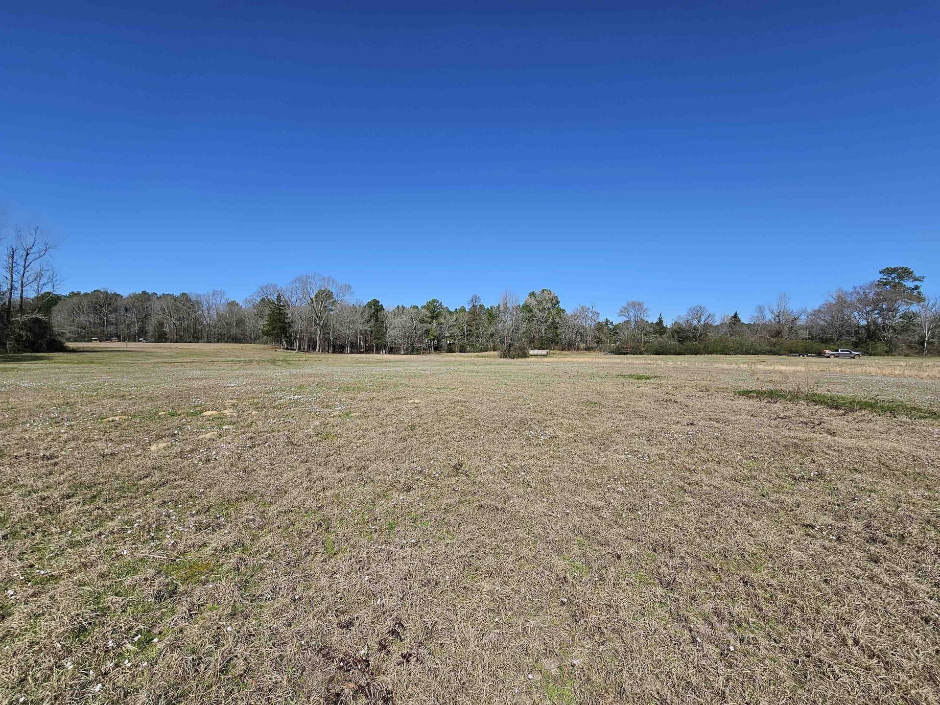 18.66 acres in Panola County - photo 6