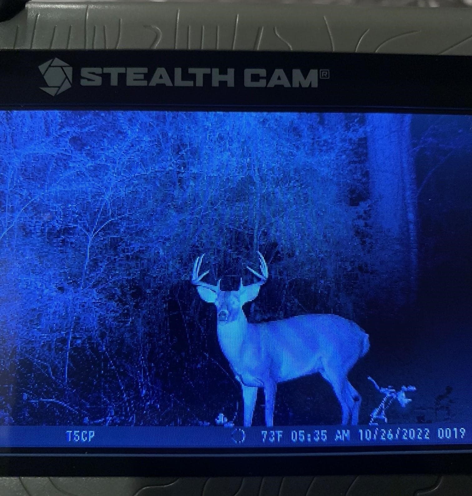 18.66 acres in Panola County - photo 18