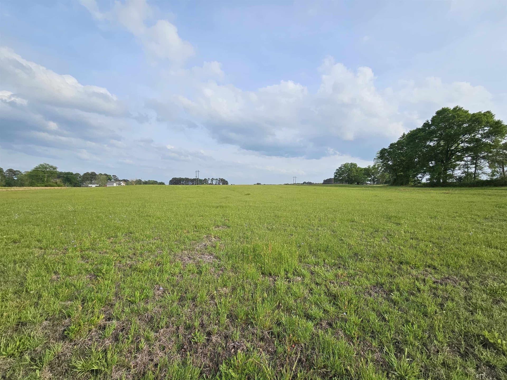 18.66 acres in Panola County - photo 11
