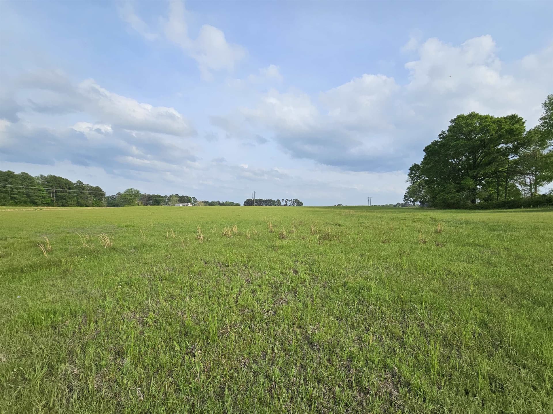 18.66 acres in Panola County - photo 12