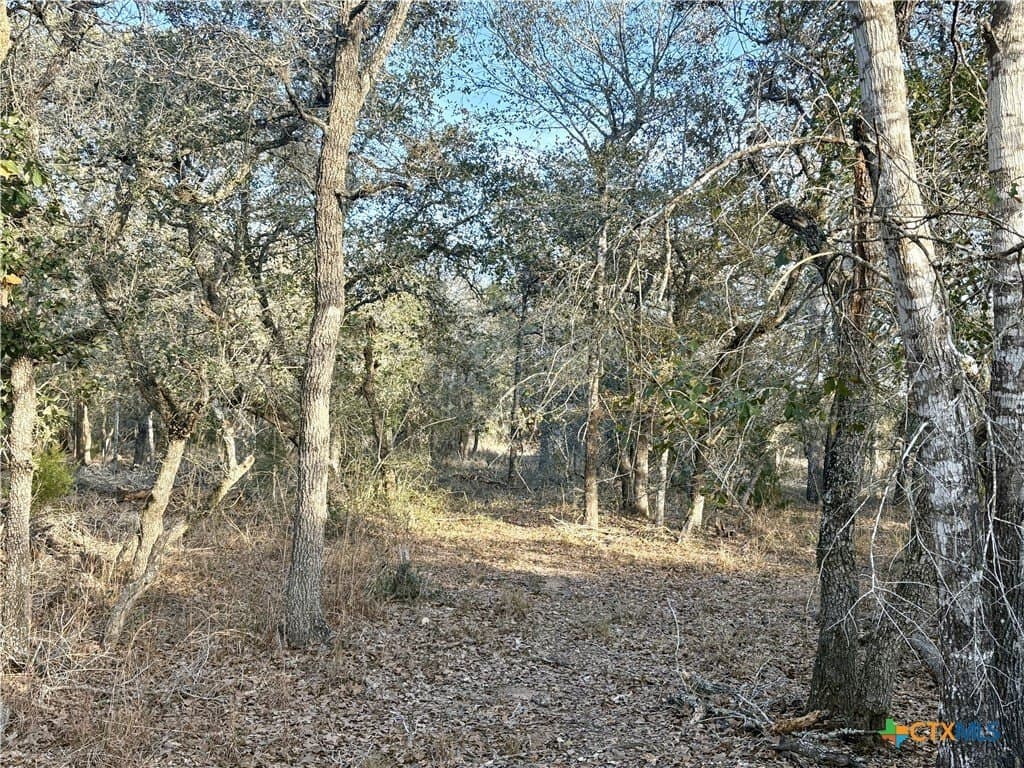 10.88 acres in Lavaca County - photo 13