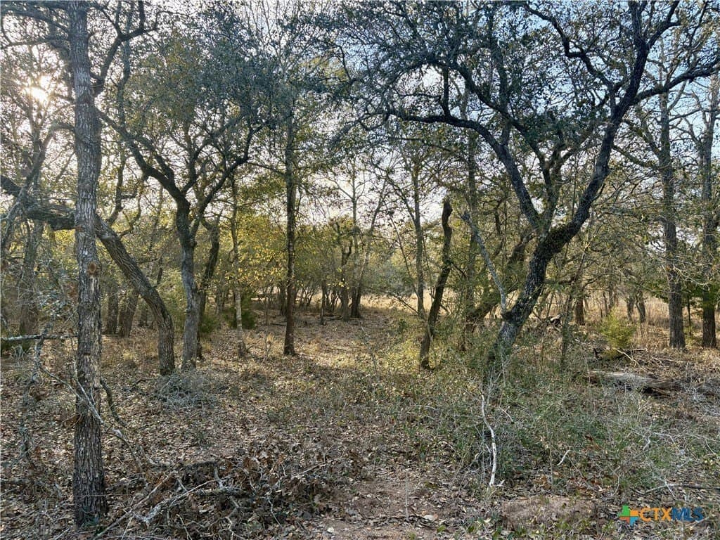 10.88 acres in Lavaca County - photo 10